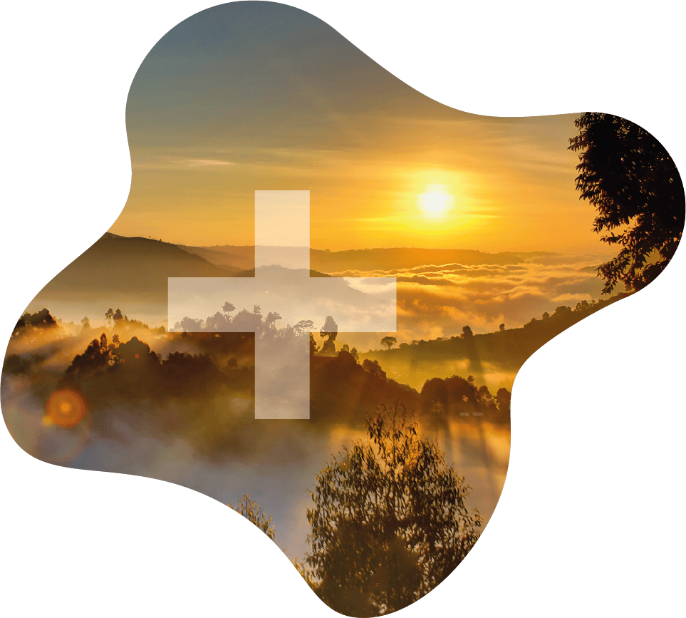 ihr-plus_web